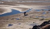 Tocht Stappen Barbâtre - Jeun et Rando J5 - Passage du gois et réserve naturelle - Photo 1