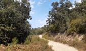 Tour Wandern Le Perthus - palissades.  la carboniere . fort de bellegrade . panissars - Photo 12