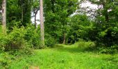 Tour Wandern Coyolles - en forêt de Retz_78_les rayons du Rond Capitaine - Photo 2