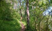 Tour Wandern Matafelon-Granges - les 2 vallées sous la mousse ... - Photo 19