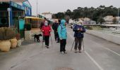 Trail Walking Saint-Trojan-les-Bains - i'e olzro - Photo 9