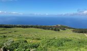 Trail Walking Frontera - Sabinosa - El Sabinar - Ermita Virgen de Los Reyes (El Hierro) - Photo 14