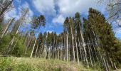 Tour Wandern Somme-Leuze - Nettinne - Source de la Somme - Photo 4