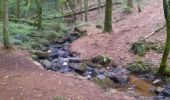Trail Walking Elven - PR_56_Elven_AA_01_Bois-Et-Cours-D-Eau_Circuit1b_20210707 - Photo 2