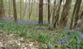 Tour Wandern Houppeville - 20240406-la breteque  - Photo 8