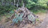 Tour Wandern Laroque - Laroque - Avens, menhir - Rocher du Pin - Photo 18