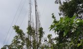 Tocht Stappen Guayaquil - Cerro Azul (Antenas) de ESPOL - Photo 18