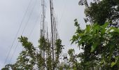 Percorso Marcia Guayaquil - Cerro Azul (Antenas) de ESPOL - Photo 18