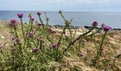 Trail Walking Otranto - Otranto  - Photo 14