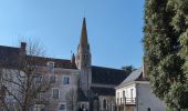Trail Walking Cormery - Cormery gare - Tauxigny - 19.5km 170m 4h35 (40mn) - 2025 03 02 - Photo 4