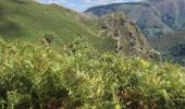 Randonnée Marche Itxassou - Les Peñas d' Itsusi depuis Mehatze - Photo 1