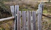 Tour Wandern Geilich - Promenade vers la réserve naturelle 