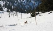 Excursión A pie Sobotín - NS Po hřebenech světem horských luk - Photo 6