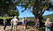 Trail Walking Hotton - Ménil Favay - Photo 7