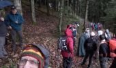 Tour Wandern Buhl - 2019.11.28.Barnabé - Photo 1
