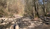 Trail Walking Aywaille - 220307 Ninglinspo - Photo 15