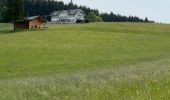 Tocht Stappen Thalgau - De Wasenmoos à la Chapelle du Kolomansberg - Photo 18