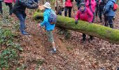 Trail Walking Vauchassis - Balade champs forêts - Photo 1