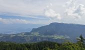 Randonnée Marche Lans-en-Vercors - Du col de croix de Perrin au Pas de Bellecombe - Photo 4