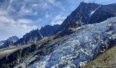 Excursión Senderismo Chamonix-Mont-Blanc - La Jonction - Photo 5