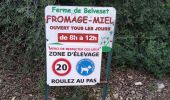 Trail Walking Taradeau - taradeau l'oppidum - Photo 1