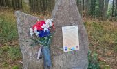 Trail Walking Rombach-le-Franc - Col de Schlingoutte - Photo 4