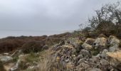 Tour Wandern Leucate - mon sentier des pêcheurs  - Photo 13