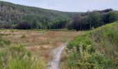 Tocht Stappen Couvin - COUVIN _ Marche Fédérale _ NA _ 22/07/2023. - Photo 1