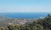 Tour Elektrofahrrad Bormes-les-Mimosas - la murene  - Photo 2