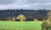 Tour Wandern Aywaille - Boucle Aywaille - Photo 8