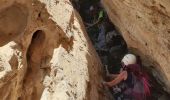 Excursión Senderismo Ollioules -  Les Grottes  St Martin  - Photo 18