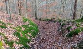 Tour Wandern Spa - rando dans les bois du nord de spa  - Photo 8