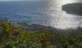 Trail Trail Port-Louis - Anse Bertrand massious porte d’enfer - Photo 6
