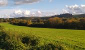 Randonnée Marche Anhée - Haut-le-Wastia - Salet - Foy - Montaigle - Photo 6