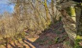 Tocht Stappen Gedinne - Balade à Malvoisin - Gedinne - Photo 9