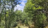 Tocht Stappen Saint-Georges-en-Couzan - Randonnée au dessus de Vaux - Photo 10