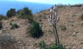 Trail Walking La Ciotat - la ciotat michel simon - Photo 15