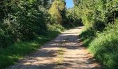 Tour Wandern Bouxières-aux-Chênes - bouxieres aux chênes - Blanzey - Photo 19