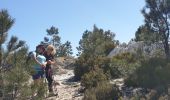 Tocht Stappen La Garde-Freinet - Les Roches Blanches - Photo 4