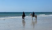 Percorso Corsa a piedi Fouesnant - Des dunes à la mer blanche - Photo 15