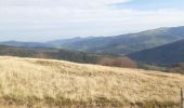 Tour Wandern Woll - mon sentier des névés : hohneck . kastelbergwasen . firstmiss . breitsouze . Le hohneck  - Photo 11