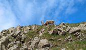 Tour Wandern Entraunes - Lac de Cayolles par le pas du lausson. - Photo 7