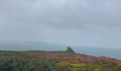 Tour Wandern Lanvéoc - Étape 3/6 tour de Crozon (Lanveoc - Camaret) - Photo 2