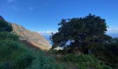 Tour Wandern Frontera - Sabinosa - El Sabinar - Ermita Virgen de Los Reyes (El Hierro) - Photo 6