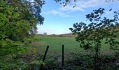 Tour Wandern Heerlen - Klein rondje bos  - Photo 3
