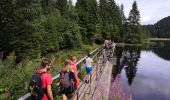 Randonnée Marche La Bresse - Lac de Lispach - Photo 4