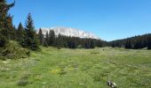 Percorso Marcia Saint-Agnan-en-Vercors - Grand Veymont - Photo 10