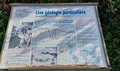 Randonnée Marche Plœmeur - PR_56_Ploemeur_AA_01_Les-Sables_Circuit3a_20240413 - Photo 14