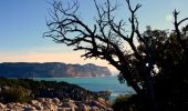 Randonnée Marche Marseille - Gardiole - Cap Gros - Crêtes de l'Estret - Photo 16