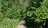 Percorso Marcia Braives - Fumal, via chemin des chevreuils - Photo 3